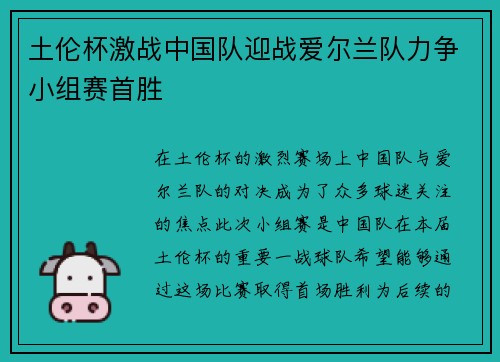 土伦杯激战中国队迎战爱尔兰队力争小组赛首胜