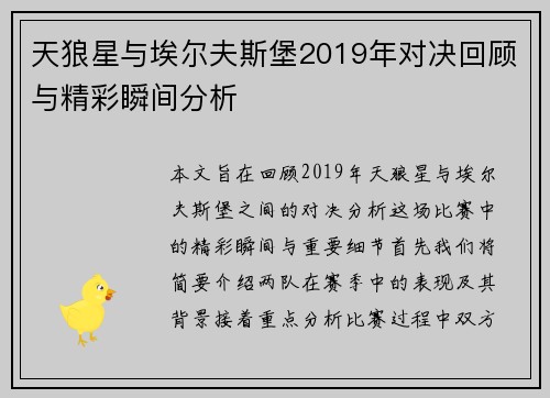 天狼星与埃尔夫斯堡2019年对决回顾与精彩瞬间分析