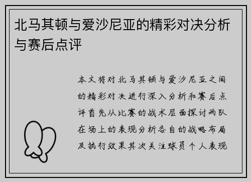北马其顿与爱沙尼亚的精彩对决分析与赛后点评